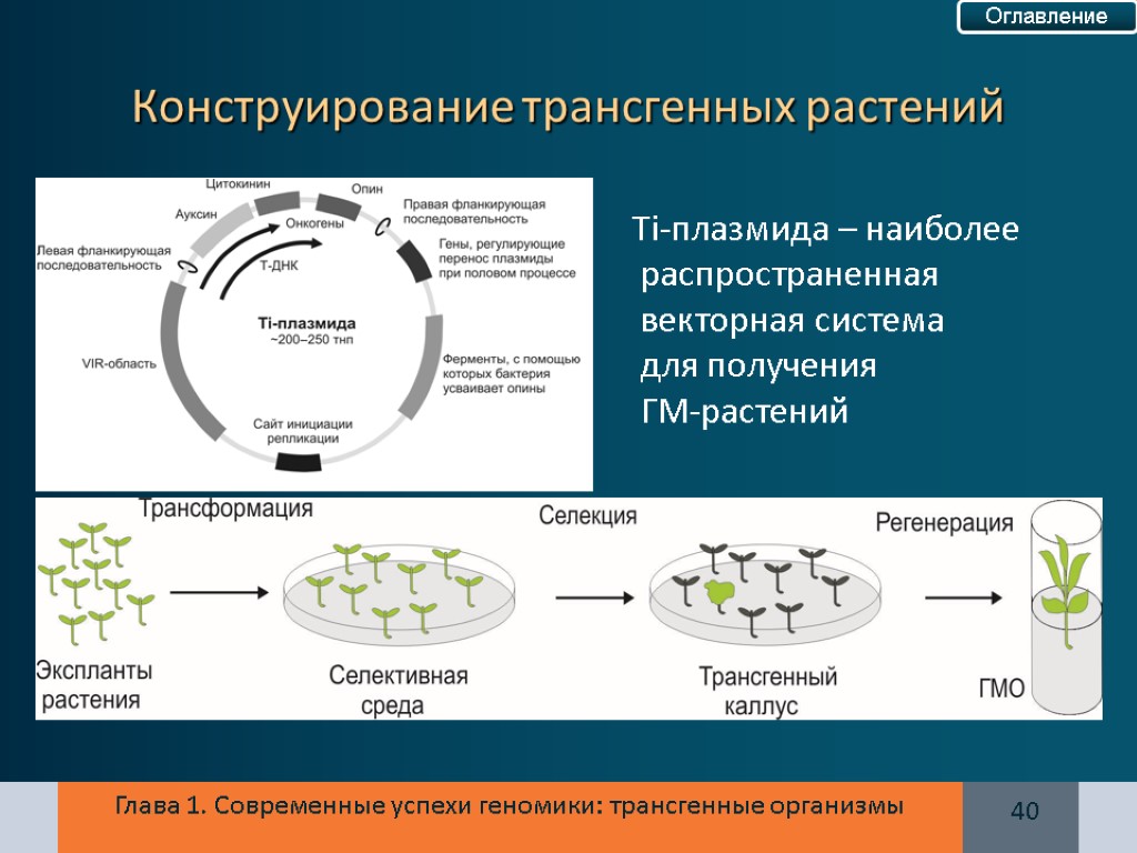 Трансмиссия это в биологии